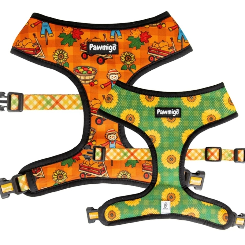 Reversible harness